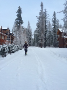 Chasing Daisy around snowy trails.